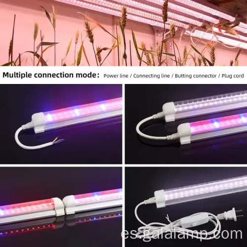 Mejorar el crecimiento de las plántulas con iluminación completa del espectro T5